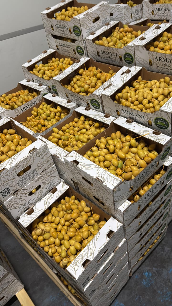 Bahri Dates Gallery 4