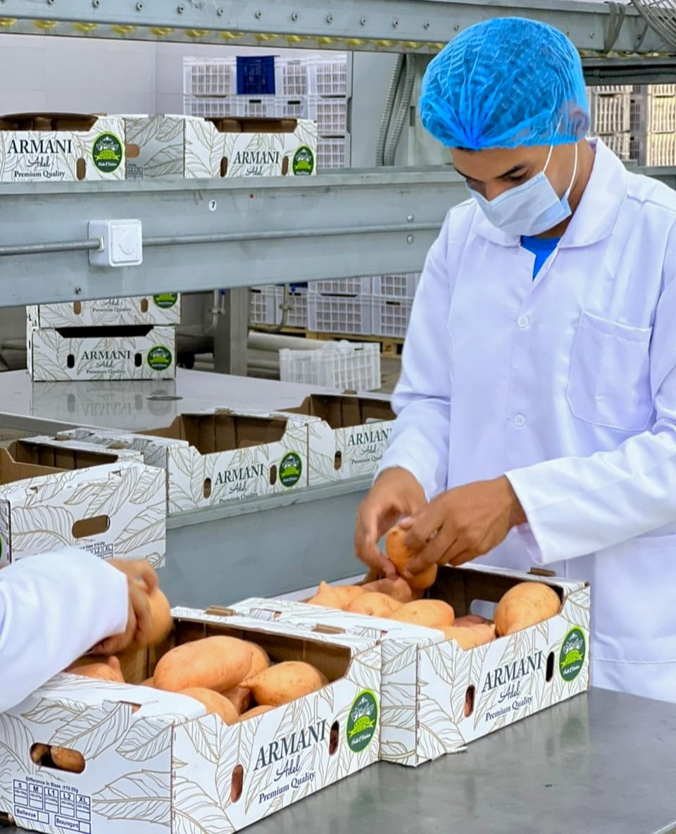 Quality Control & Processing - Adel Armani quality control process