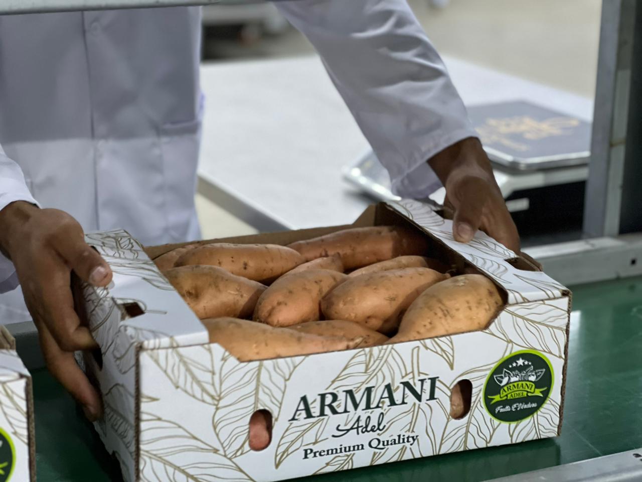 Packing & Shipment - Adel Armani quality control process