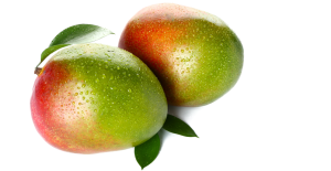 Kent-Mango-Image-l